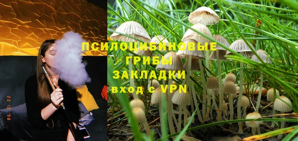 хмурый Вязники