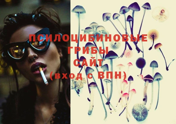 хмурый Вязники