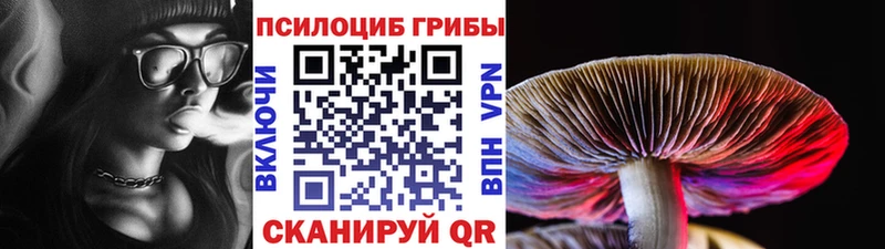 Галлюциногенные грибы мухоморы Мытищи